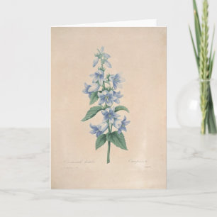 Campanula par la carte de sympathie botanique de