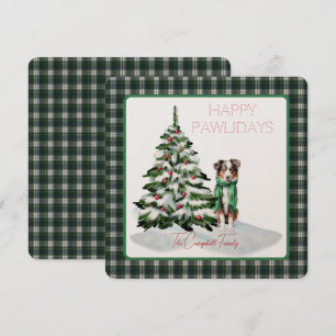 Campbell Dress Modern Tartan Happy Pawlidays Dog