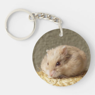 Campbells Dwarf Russian Hamster, Argente Keychain