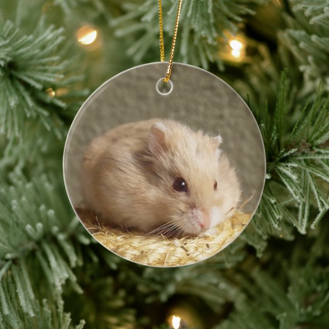 Campbells Dwarf Russian Hamster Ceramic Ornament (Tree)