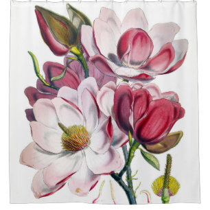 Campbell's Magnolia Shower Curtain