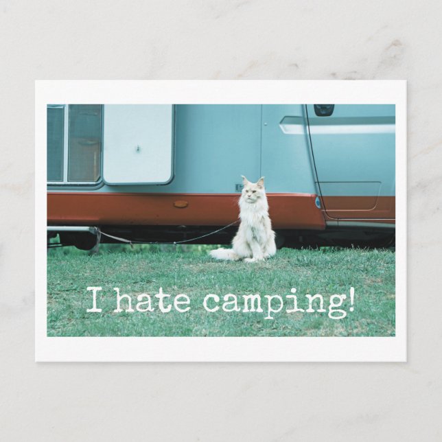 Camping Cat Postcard (Front)