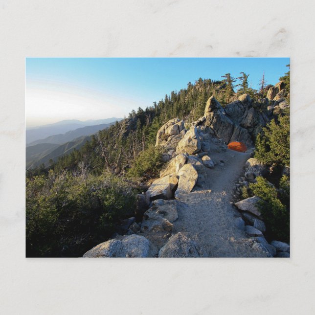 Camping on the San Jacinto Crest Postcard (Front)