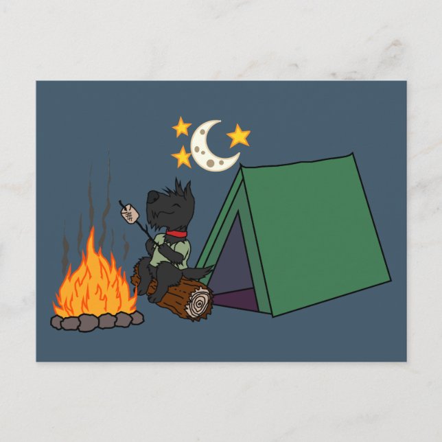 Camping Scott : Carte postale (Devant)