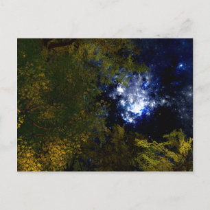 Camping Under The Stars Postcard