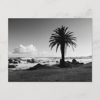 "Camps Bay South Africa" BW JTG Postcard