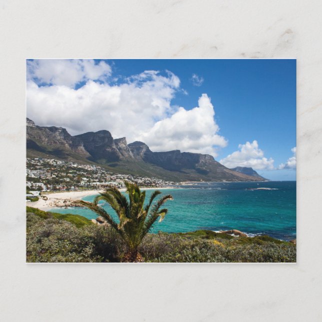 Camps Bay, South Africa Postcard (Front)