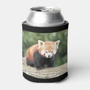 Can Cooler Photo red panda , animals 0001.