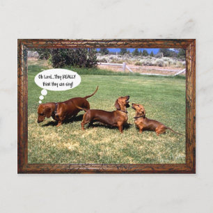 Can Doxies Sing? Maybe not............ Postcard
