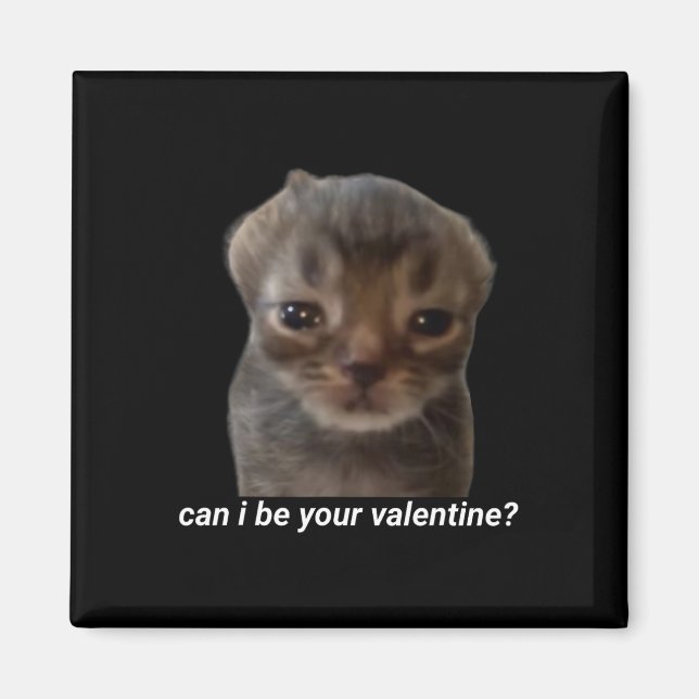 Can I Be Your Valentine Funny Cat Meme Brainrot Ge Magnet (Front)