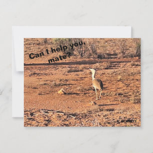 Can I help you, mate? Postcard