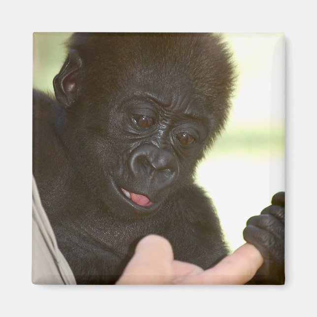 Can I hold your hand? Magnet (Front)