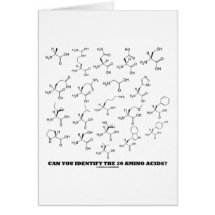 Can You Identify The 20 Amino Acids? (Chemistry)