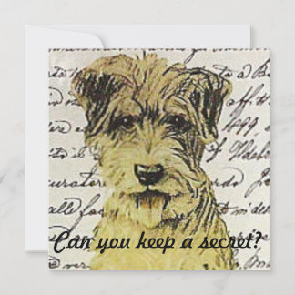 Can you keep a secret? invitation