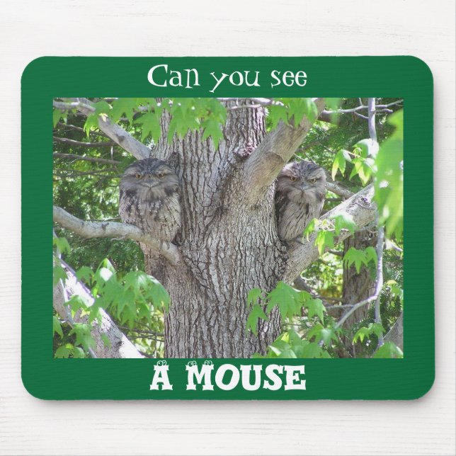 Can you see a mouse? mouse pad (Front)