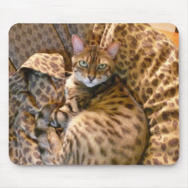 Can you see me? mouse pad (Front)