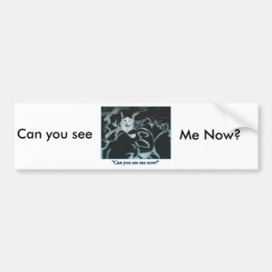 Can you see me Now?/Cat humour Bumper Sticker