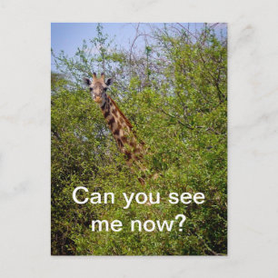 Can you see me now? postcard