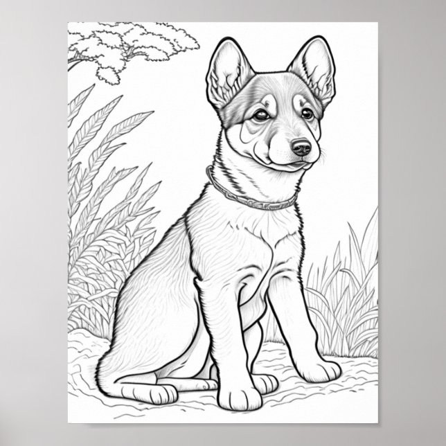 Canaan Dog Adult Colouring Poster (Front)