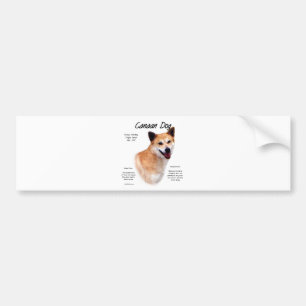 Canaan Dog History Design Bumper Sticker