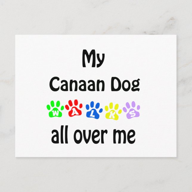 Canaan Dog Walks Design Postcard (Front)
