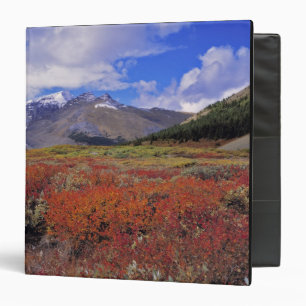Canada, Alberta, Banff NP. Huckleberries bloom Binder