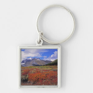Canada, Alberta, Banff NP. Huckleberries bloom Keychain