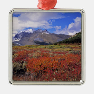 Canada, Alberta, Banff NP. Huckleberries bloom Metal Ornament