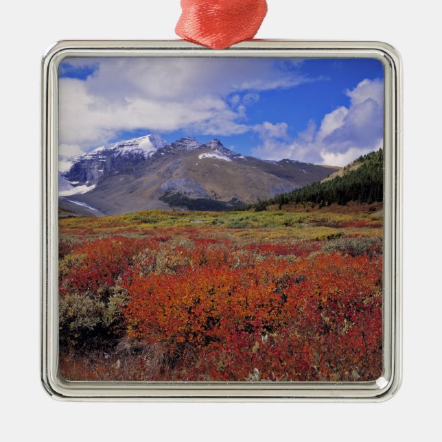 Canada, Alberta, Banff NP. Huckleberries bloom Metal Ornament (Front)