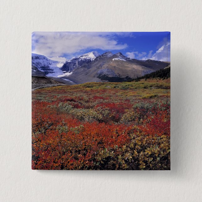 Canada, Alberta, Banff NP. Huckleberries provide 2 Inch Square Button (Front)