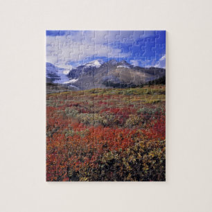 Canada, Alberta, Banff NP. Huckleberries provide Jigsaw Puzzle
