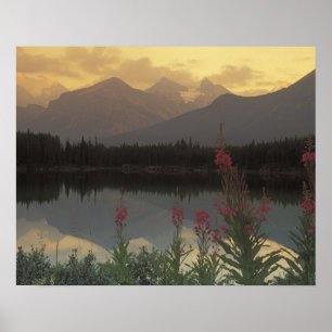 Canada, Alberta, Banff. Sunrise scenic of Poster
