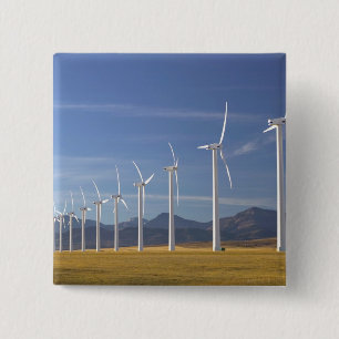 Canada, Alberta, Crowsnest Pass Area: Cowley 2 Inch Square Button