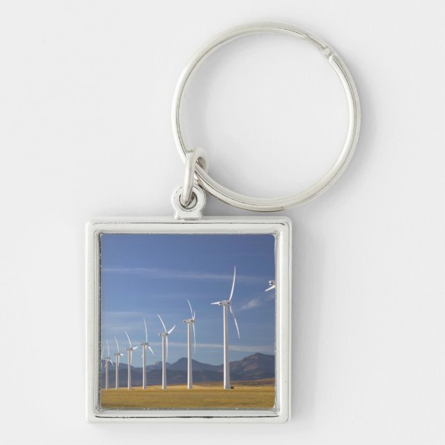 Canada, Alberta, Crowsnest Pass Area: Cowley Keychain (Front)