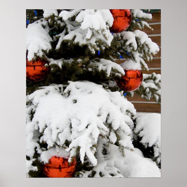 Canada, Alberta, Jasper, Jasper NP. Fairmont 2 Poster (Front)