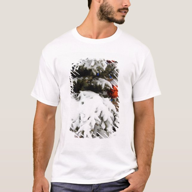 Canada, Alberta, Jasper, Jasper NP. Fairmont 2 T-Shirt (Front)