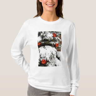 Canada, Alberta, Jasper, Jasper NP. Fairmont 2 T-Shirt