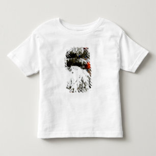 Canada, Alberta, Jasper, Jasper NP. Fairmont 2 Toddler T-shirt