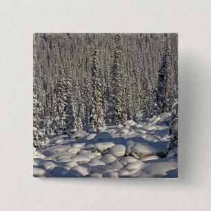 Canada, Alberta, Jasper National Park. 2 Inch Square Button