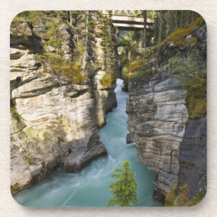 Canada, Alberta, Jasper National Park, Athabasca 2 Coaster