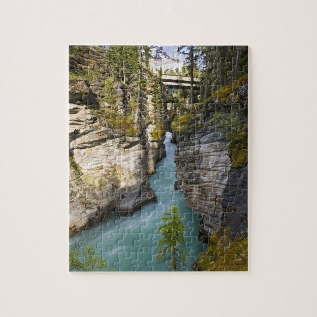 Canada, Alberta, Jasper National Park, Athabasca 2 Jigsaw Puzzle (Vertical)