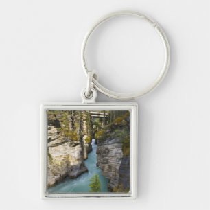 Canada, Alberta, Jasper National Park, Athabasca 2 Keychain