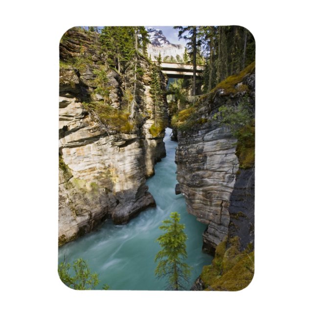 Canada, Alberta, Jasper National Park, Athabasca 2 Magnet (Vertical)