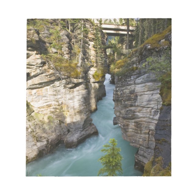 Canada, Alberta, Jasper National Park, Athabasca 2 Notepad (Front)