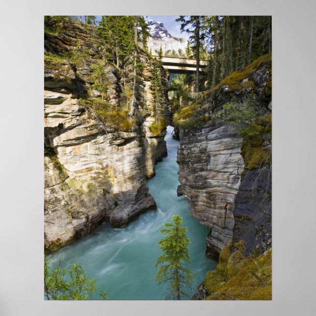 Canada, Alberta, Jasper National Park, Athabasca 2 Poster (Front)