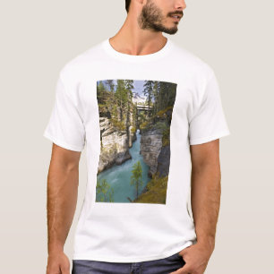 Canada, Alberta, Jasper National Park, Athabasca 2 T-Shirt