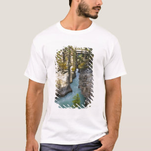 Canada, Alberta, Jasper National Park, Athabasca 2 T-Shirt
