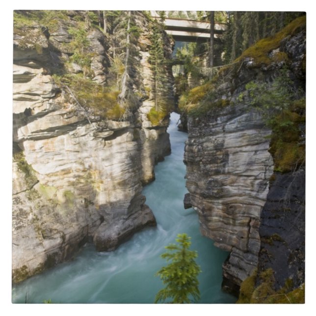 Canada, Alberta, Jasper National Park, Athabasca 2 Tile (Front)