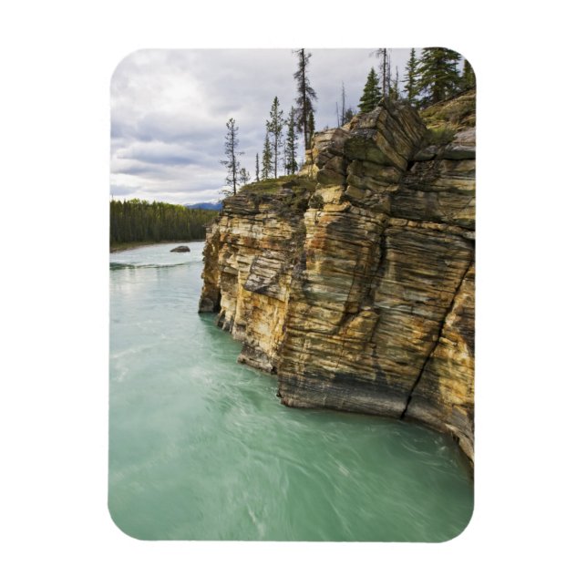 Canada, Alberta, Jasper National Park, Athabasca Magnet (Vertical)