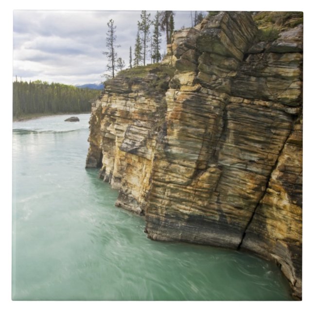 Canada, Alberta, Jasper National Park, Athabasca Tile (Front)